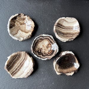 Natural Onyx Stone and Calcite Hand Carved Bowl - Raw Edges - High Quality - Home Decor - Freeform Stone Bowl - Zebra Onyx Dish - Onyx Tray