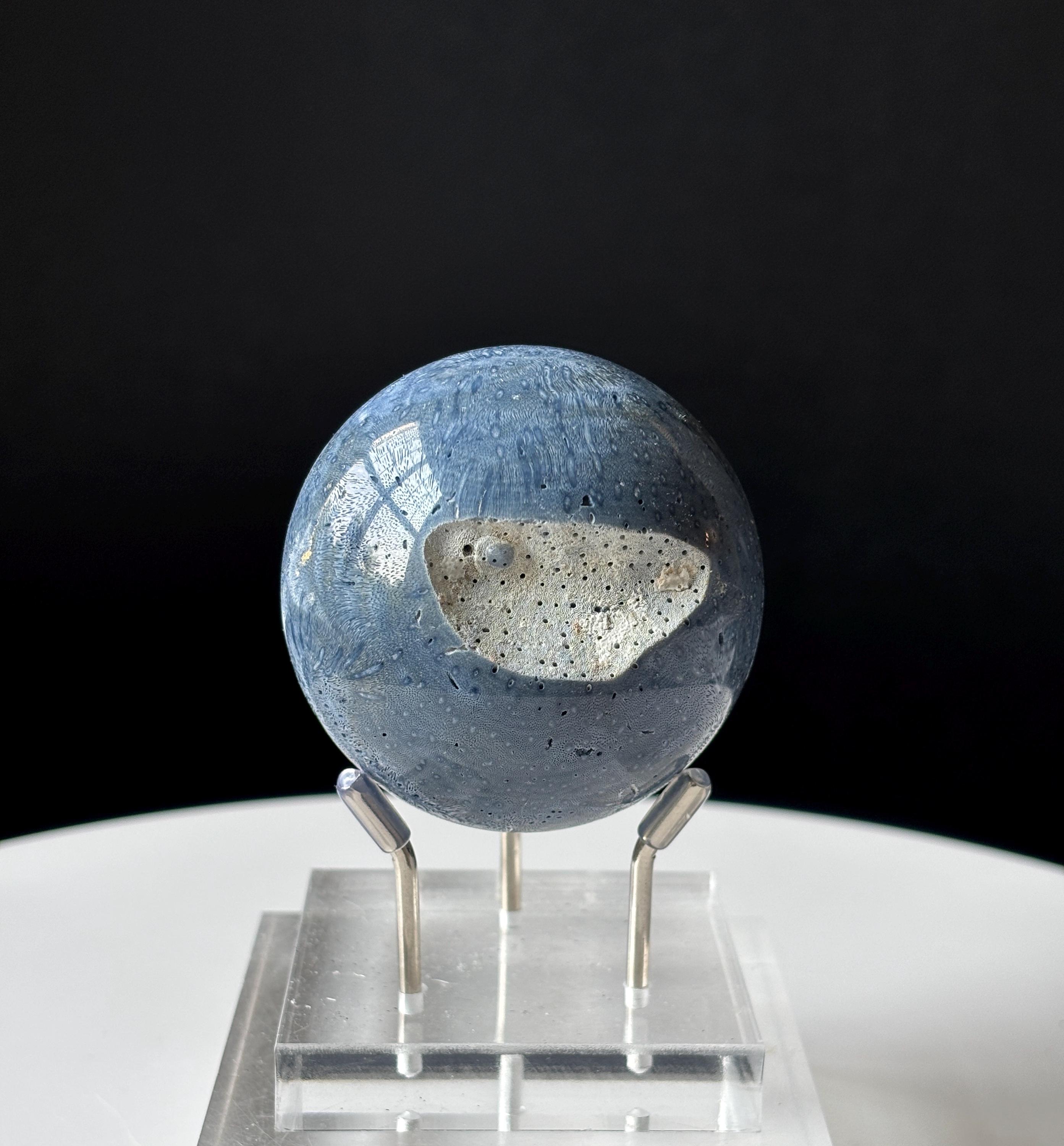 Blue Ridge Coral Sphere - Natural Authentic Coral - Home Decor - Coastal Ocean - Heliopora Coerulea - Blue Coral Specimen
