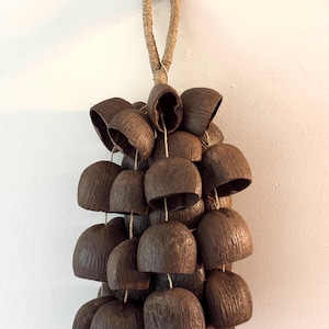 Salin Seed Shell Shaker: Natural Water Sound Chime - Home Decor Instrument