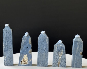 Blue Ridge Coral Tower – Natural Heliopora Coerulea Specimen, Coastal Ocean Crystals