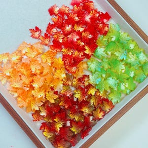 May include: A collection of small, translucent maple leaf-shaped beads arranged in a tray. The beads feature a vibrant gradient of colors, including bright red, orange, yellow, and green, with a glossy finish and a small hole for threading.