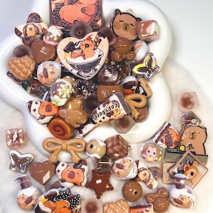 May include: A collection of brown and tan resin charms and beads in various shapes, including hearts, bears, bows, and butterflies. Some charms feature cartoon characters and the text "Capybara". The items are arranged in a white, bear-shaped dish.