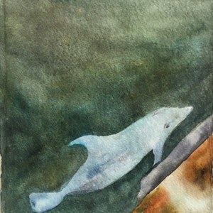 Delfino a Istanbul