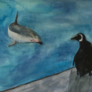 Pinguino spaventato dal delfino