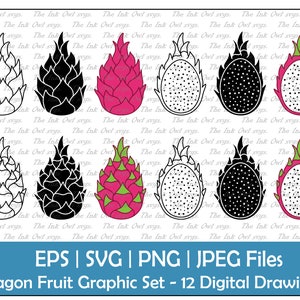 Dragon Fruit Vector Clipart Set / Contour, Timbre & Dessin de couleur Graphique / Fruits exotiques tropicaux demi et entiers / PNG, JPG, SVG, Eps