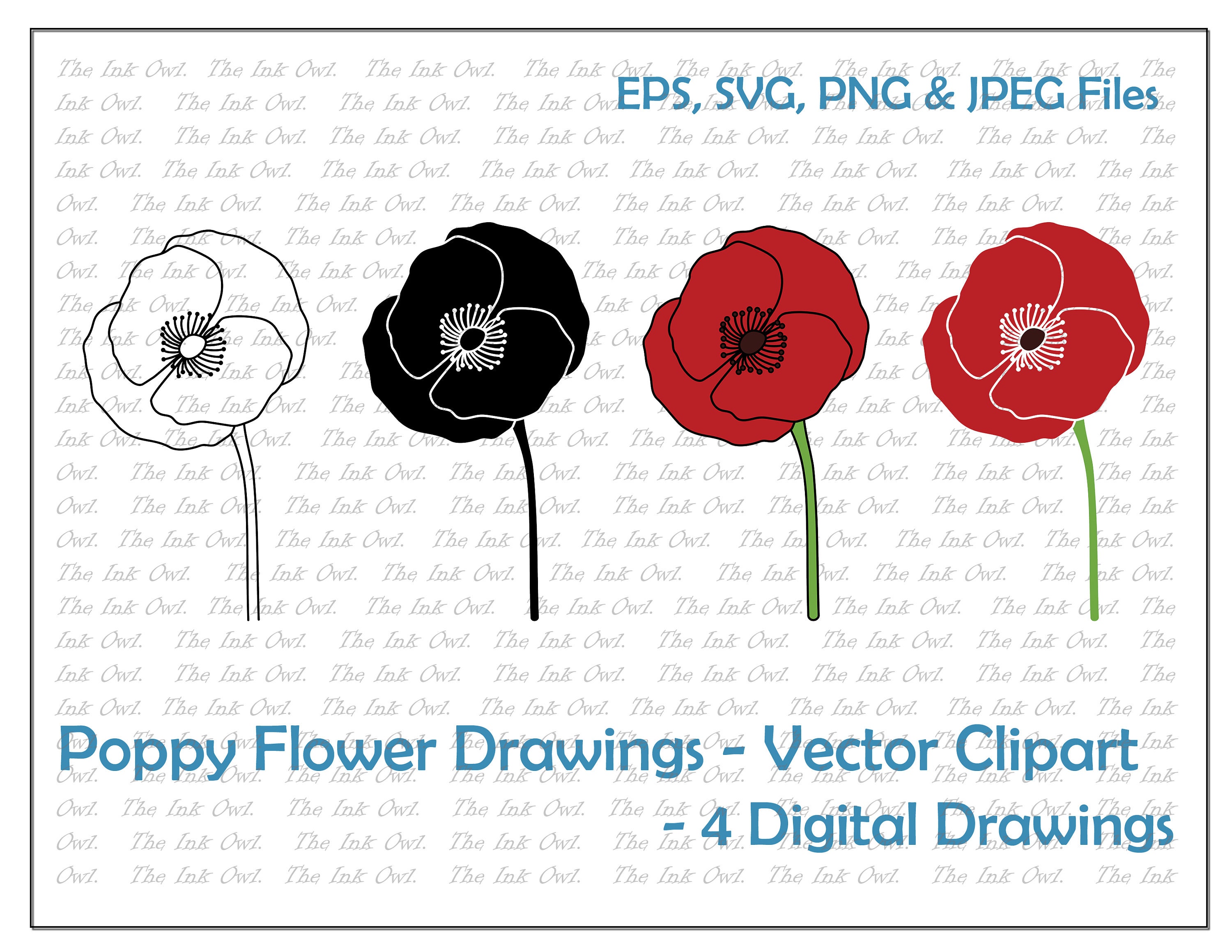 Red Poppy Flower Drawing
