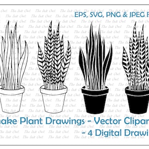 Conjunto de clipart de planta de cobra em um vaso / ilustrações de desenho de contorno e carimbo / EPS, PNG, jpg, SVG