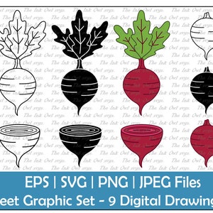 Beets Vector Clipart Set / Outline & Stamp Tekening Illustraties / Gesneden Knolgewas / PNG, JPG, SVG, Eps