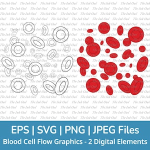 Schemat przepływu krwinek Svg Wektor Clipart Set / Biologia Kontur i Kolorowa Grafika / Png, Svg, Jpg, Eps