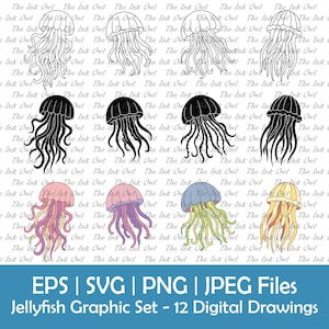 Jellyfish Vector Clipart Set / Outline, Silhouette Stamp & Color Illustration Graphics / Ocean Animal / Png, Svg, Eps, Jpg