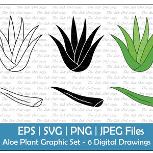 Aloe plant and leaf Vector Clipart Set / Outline & Stamp Drawing Illustrations / EPS, PNG, jpg, SVG