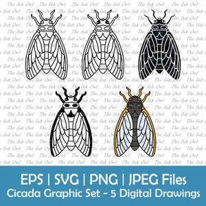 Cicada Insect Vector Clipart / Outline, Silhouette Stamp & Color Drawing Graphic / PNG, JPG, SVG, Eps