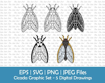 Cicada Insect Vector Clipart / Outline, Silhouette Stamp & Color Drawing Graphic / PNG, JPG, SVG, Eps