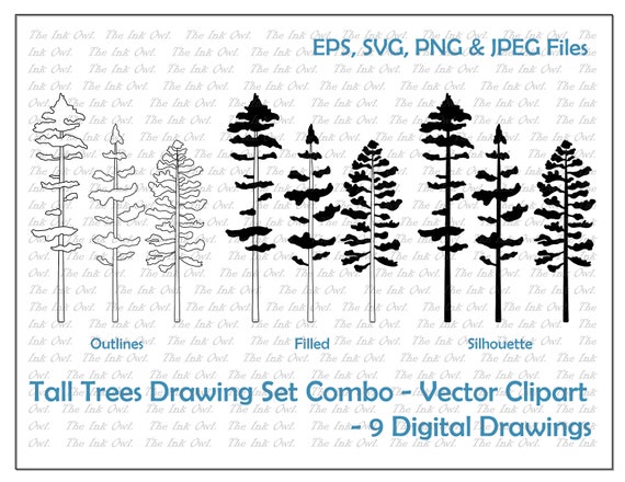 Tall Tree Vector Clipart Combo Set / Forest Line Drawing & Stamp