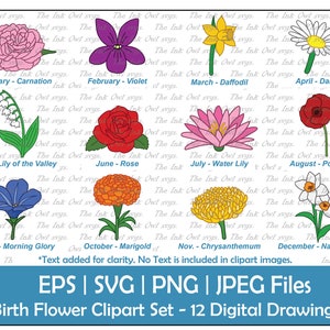 Birth Flower Vector Clipart Set / Color Drawing Graphics / Rose, Lily, chrysanth, Marigold, Carnation, Violet etc. / PNG, JPG, SVG, Eps