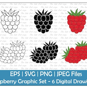 Raspberry Vector Clipart / Outline & Stamp Drawing Illustrations / Fruit and Food / PNG, JPG, SVG, Eps