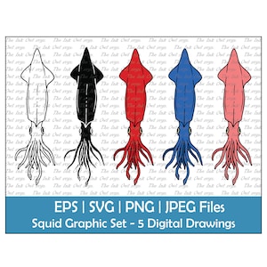 Giant Squid Vector Clipart / Outline, Silhouette Stamp & Color Illustration Graphic / Ocean Invertebrate / Sublimation / Png, Jpg, Svg, Eps