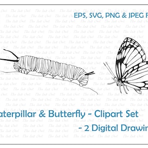 Monarch Caterpillar & Butterfly Clipart Set / Outline Line Drawing Graphic / Insect / Commercial Use / PNG, JPG, SVG, Eps