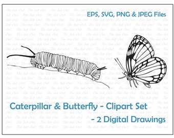 Monarch Caterpillar & Butterfly Clipart Set / Outline Line Drawing Graphic / Insect / Commercial Use / PNG, JPG, SVG, Eps