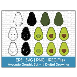 Cartoon Avocado Vector Clipart / Omtrek, Silhouet Stempel & Kleur Illustratie Graphics / Geheel, Half met Pit Heart / Svg, Png, Eps, Jpg