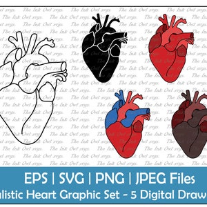 Realistische Herz Vektor Clipart Set / Outline, Silhouette Stempel & Farbzeichnung Illustrationen / Valentinstag Sublimation / Png, Jpg, Svg, Eps