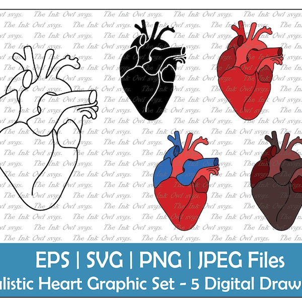 Realistic Heart Vector Clipart Set / Outline, Silhouette Stamp & Color Drawing Illustrations / Valentines Sublimation / Png, Jpg, Svg, Eps