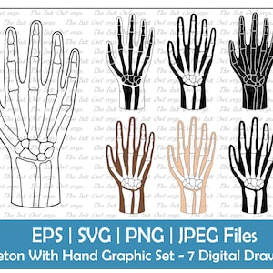 Skeleton and Hand Vector Clipart Set / Outline & Stamp Drawing Graphic / Human Anatomy / PNG, JPG, SVG, Eps