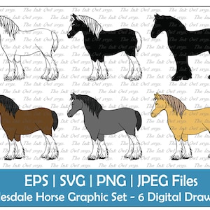 Clydesdale Horse Vector Clipart / Outline, Silhouette Stamp & Color Graphic Illustrations / Farm Sublimation / PNG, JPG, SVG, Eps