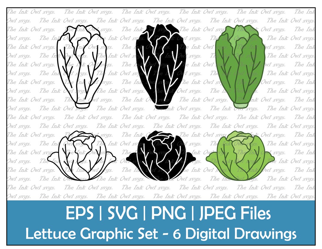Lettuce Vector Clipart Set / Outline & Stamp Drawing Etsy