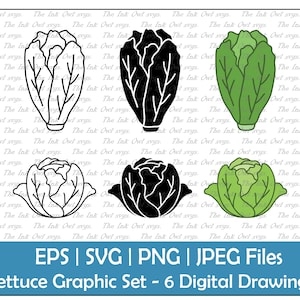 Lettuce Vector Clipart Set / Outline & Stamp Drawing Illustrations / Romaine and Iceberg / PNG, JPG, SVG, Eps