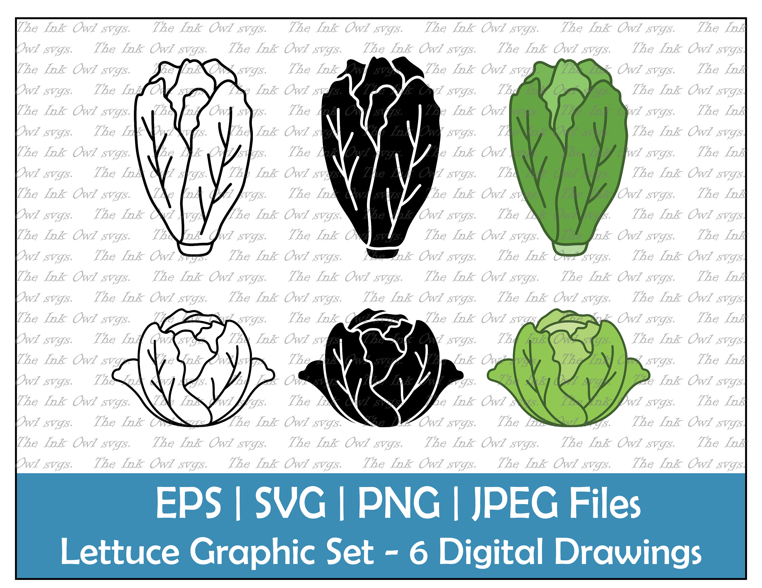 Lettuce Vector Clipart Set / Outline & Stamp Drawing Illustrations /  Romaine and Iceberg / PNG, JPG, SVG, Eps - Etsy