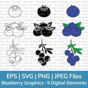 Blueberry Vector Clipart Set / Outline & Stamp Drawing Graphic / Fruit / PNG, JPG, SVG, Eps