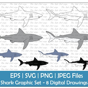Shark Vector Clipart / Outline, Silhouette Stamp & Color Illustration Graphic / Great white reef / Sublimation / Png, Jpg, Svg, Eps