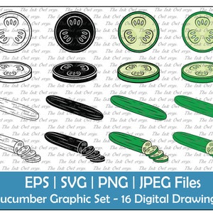 Cucumber Vector Clipart / Outline, Silhouette & Color Graphic / Whole and Sliced / Vegetable Food / Digital Sticker / PNG, JPG, SVG, Eps