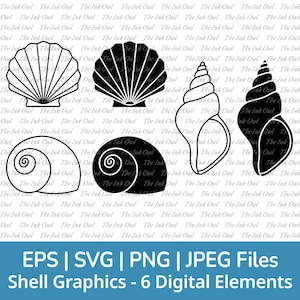 Zeeschelp Svg Vector Clipart / overzicht & stempel silhouet tekening graphics / spiraal, slak, schelpdier, kegel / commercieel gebruik / png, jpg, svg, eps