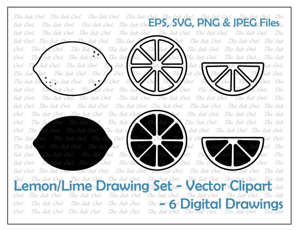 Lemon Lime Vector Clipart Set / Outline & Stamp Digital - Etsy