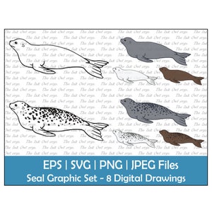 Seal Vector Clipart Graphic / Outline & Color Drawing Illustrations / Sublimation / PNG, JPG, SVG, Eps