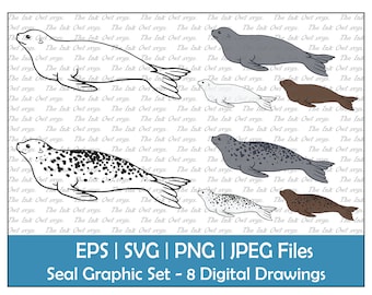 Seal Vector Clipart Graphic / Outline & Color Drawing Illustrations / Sublimation / PNG, JPG, SVG, Eps
