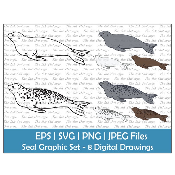 Seal Vector Clipart Graphic / Outline & Color Drawing Illustrations / Sublimation / PNG, JPG, SVG, Eps