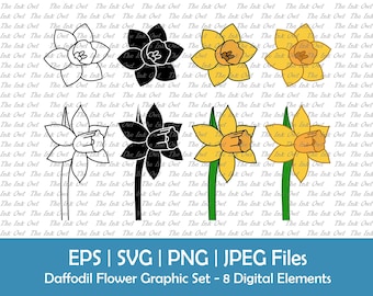 Påskliljablomma Vektor Clipart Set / Kontur, Silhuettstämpel & Färggrafik / Gul Vårfödelseblomma för Mars / Png, Svg, Eps, Jpg