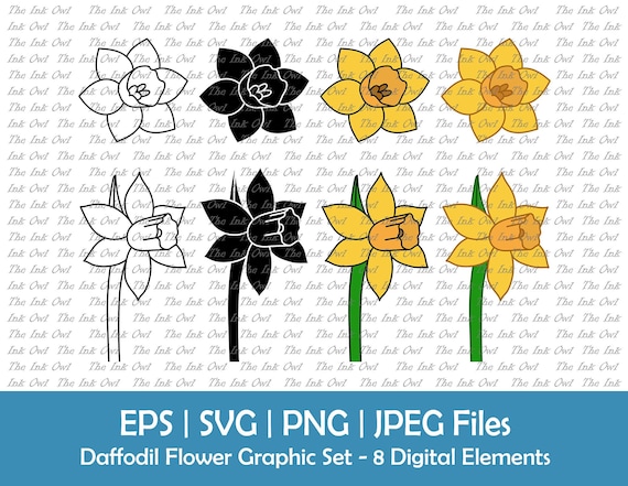 Daffodil Flower Vector Clipart Set / Outline, Silhouette Stamp & Color Graphic / Yellow Spring Birth Flower for March  / Png, Svg, Eps, Jpg