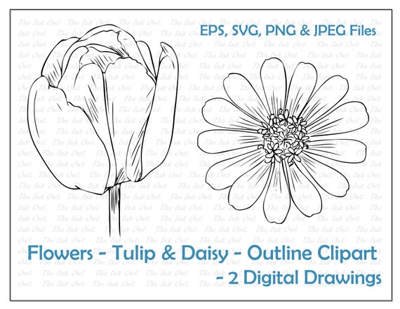 Download Tulip Daisy Flower Line Drawing Set Digital Vector Image Etsy