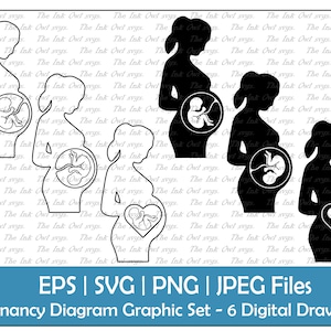 Conjunto de imágenes prediseñadas vectoriales de embarazo y fertilidad / Gráfico de contorno y silueta / Feto / Madre embarazada / Corazón / PNG, JPG, SVG, Eps