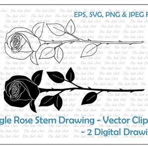 Einzelne Rose Vektor-Illustration / Umriss- und Stempelillustrationen / PNG, JPG, SVG, Eps