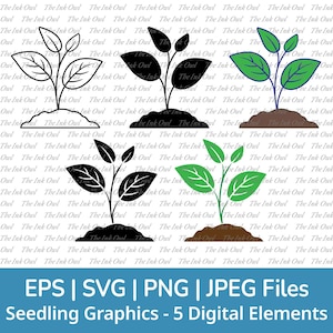 Plant Seedling Sprout Svg Vector Clipart / Outline, Stamp Silhouette & Color Drawing Illustrations / Farming, Gardening / Png, Jpg, Svg, Eps