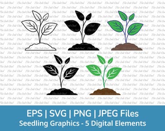 Plant Seedling Sprout Svg Vector Clipart / Outline, Stamp Silhouette & Color Drawing Illustrations / Farming, Gardening / Png, Jpg, Svg, Eps