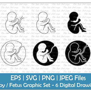 Baby Fetus with Umbilical Cord Vector Clipart Set / Outline & Silhouette Graphics / Fertility / Commercial Use / PNG, JPG, SVG, Eps