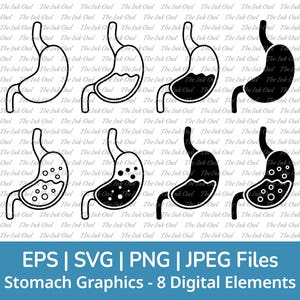 Stomach Svg Vector Clipart Set / Outline & Stamp Silhouette Illustration Graphic / Cartoon Human Anatomy Body Part / Png, Jpg, Svg, Eps