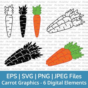 Carrots Svg Vector Clipart Set / Outline, Stamp Silhouette & Color Drawing Illustrations / Vegetable / Png, Svg, Jpg, Eps
