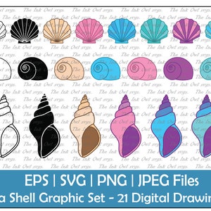 Sea Shell Vector Clipart Set / Outline, Silhouette Stamp & Color Drawing Graphics / Spiral, Lumaca, Clam, Cone / PNG, JPG, SVG, Eps